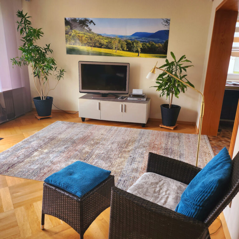 Wohnzimmer-q1280